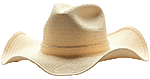 straw hat